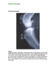 TTA 1 - Veterinary Instrumentation