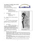 Xray Rounds- CLEARING THE C-SPINE