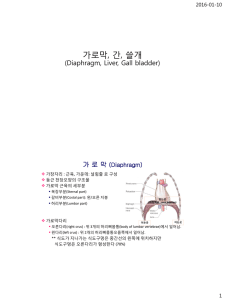 가로막, 간, 쓸개