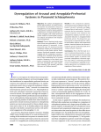 Dysregulation of Arousal and Amygdala