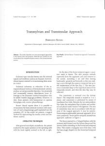Transsylvian and Transinsular Approach