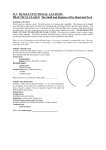 213: HUMAN FUNCTIONAL ANATOMY: PRACTICAL CLASS 8 The