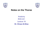 Notes on the Thorax