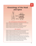 Mechanics and Pathomechanics of the Muscles of the Face and Eyes