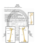 FEMUR (osteology) OBJECTIVES At the end of the session, the