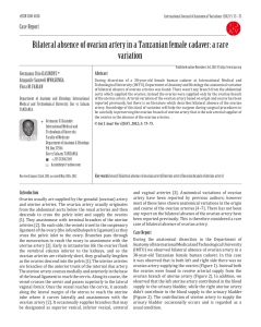 Bilateral absence of ovarian artery in a Tanzanian female cadaver: a