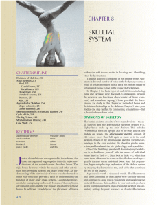 Textbook Ch. 9 Skeletal System