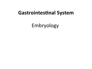 Embryology GastrointesInal System