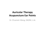 Auricular Therapy Acupuncture Ear Points Dr. Chuanxin Wang, DAOM, L.Ac