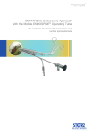DESTANDAU Endoscopic Approach with the Mobile ENDOSPINE Operating Tube