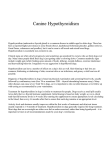 Canine Hypothyroidism - Arroyo Animal Clinic