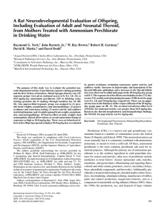 A Rat Neurodevelopmental Evaluation of Offspring