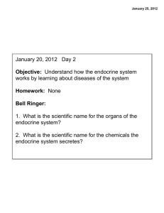 Diseases of the Endocrine System