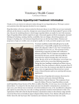 Feline Hyperthyroid Treatment Information