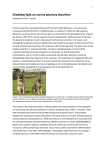 PDF. - Veterinary Sciences Tomorrow