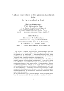 A phase-space study of the quantum Loschmidt Echo in the