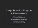 Gauge dynamics of kagome antiferromagnets