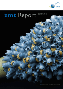 zmt Report 2011/2012