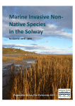 here - Solway Firth Partnership