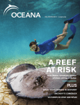 A REEF AT RISK