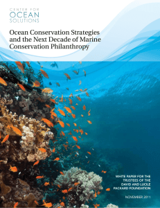 Ocean Conservation Strategies and the Next Decade of Marine
