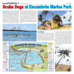 Scuba Dogs at Escambrón Marine Park