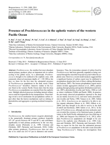 Presence of Prochlorococcus in the aphotic waters