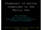 Dispersal of marine organisms in the Baltic Sea