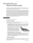 TMMC Ed. Handouts - The Marine Mammal Center