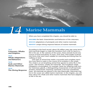 Chapter 14: Marine Mammals