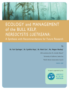 Ecology and Management of the Bull Kelp, Nereocystis luetkeana