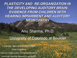 Plasticity in the Developing Auditory Brain: Clinical Evidence from