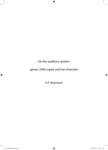 On the auditory system: genes, DNA repair and ion channels