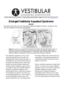 Enlarged Vestibular Aqueduct Syndrome (EVAS)