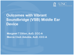 Vibrant Soundbridge (VSB)