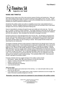 Fact Sheet 2 NOISE AND TINNITUS