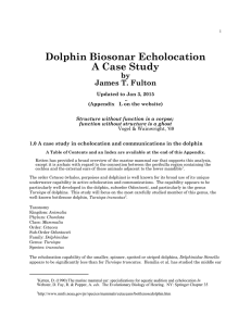 Dolphin Biosonar Echolocation