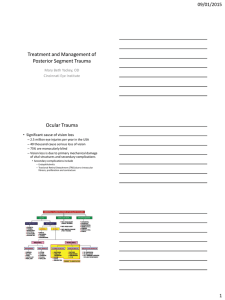 Treatment and Management of Posterior Segment Trauma