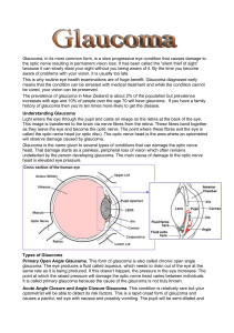 Glaucoma - New Zealand Association of Optometrists