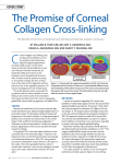 The Promise of Corneal Collagen Cross-linking