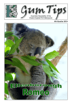 4th Quarter 2014 Quarterly Newsletter of the Koala Hospital Port