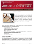 1 | Page Infectious Keratoconjunctivitis (Pink Eye in Cattle) Factors