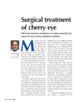 Surgical treatment of cherry eye