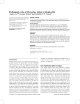 Pathogenic role of Demodex mites in blepharitis