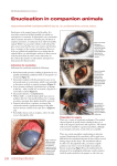 Enucleation in companion animals