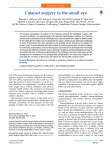 Cataract surgery in the small eye