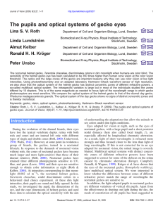 The pupils and optical systems of gecko eyes