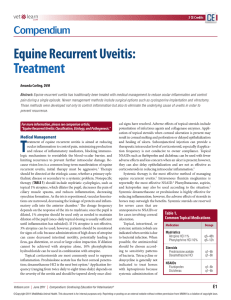 Equine Recurrent Uveitis: Treatment