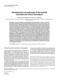 Development and pathology of the hyaloid, choroidal and retinal