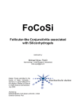 Wyss Master-Thesis_FoCoSi